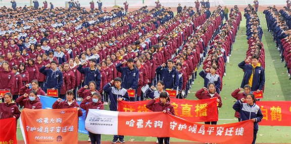 P73換4.jpg