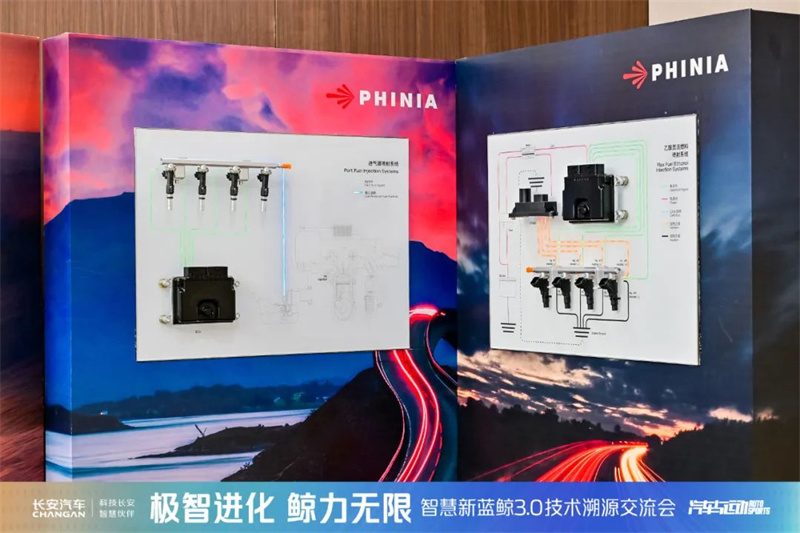 共鑒新鯨彩7.jpg