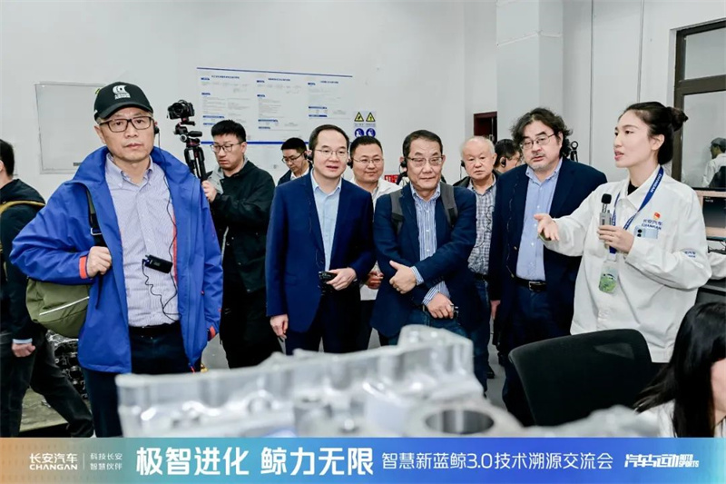 共鑒新鯨彩9.jpg