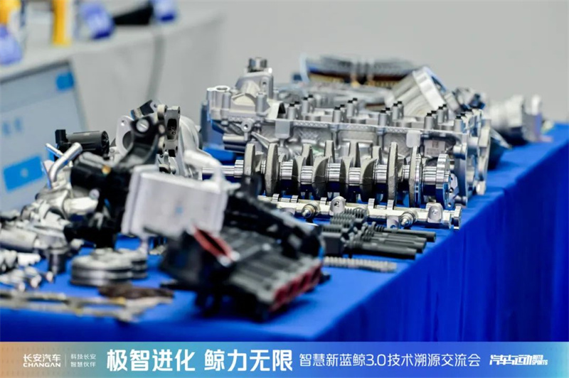 共鑒新鯨彩10.jpg