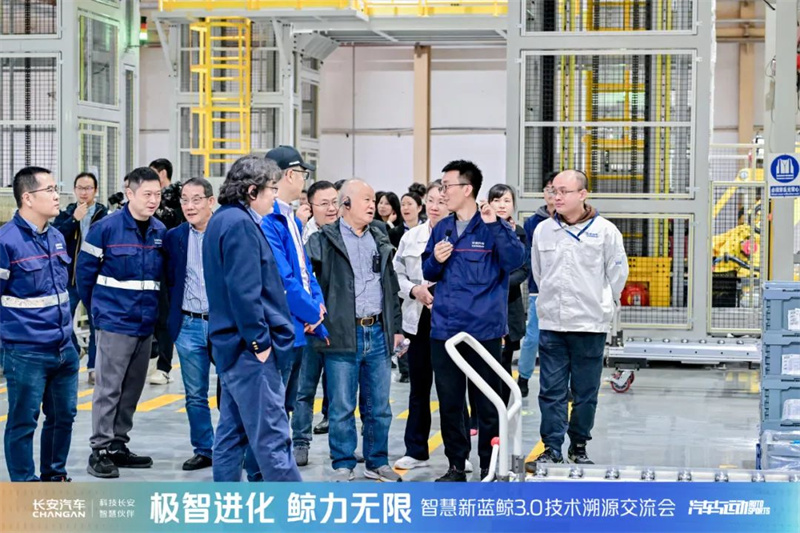 共鑒新鯨彩11.jpg